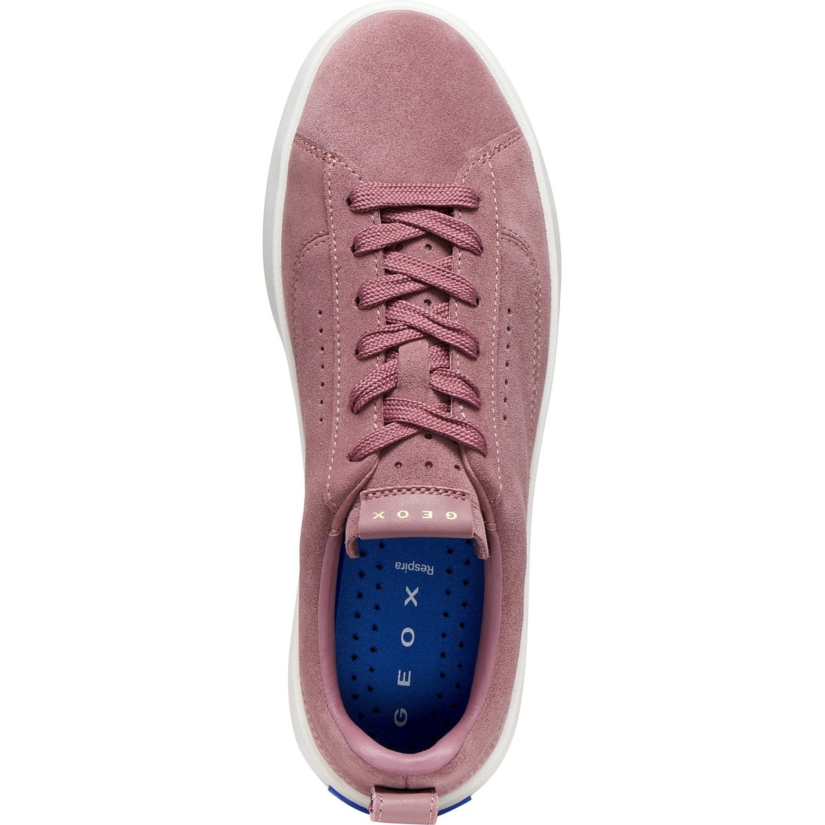 Baskets D GXCP-01 vieux rose, GEOX
