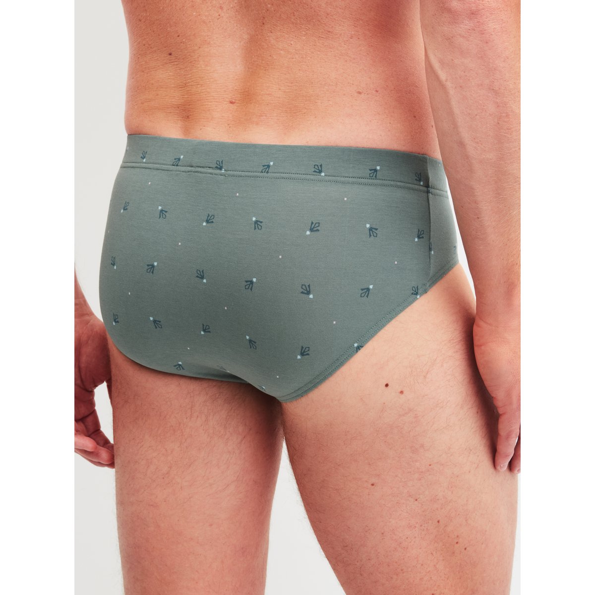 Slip Coton GRAFIC COTTON vert laurier, CALIDA