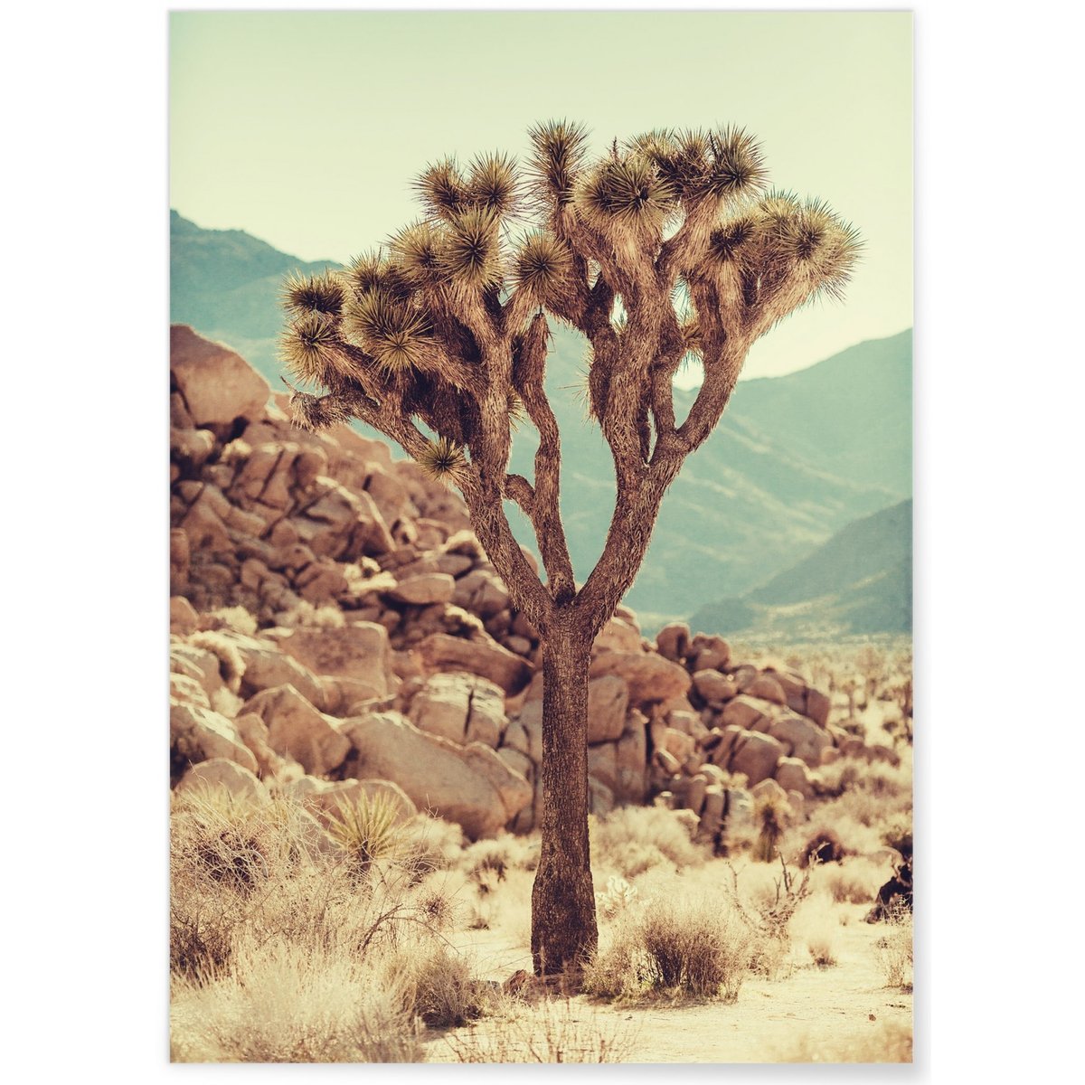 Affiche Nature Desert 3 blanc, L'AFFICHERIE