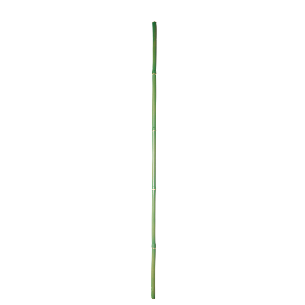 Branche de bambou artificielle H101 vert, SIA DECO