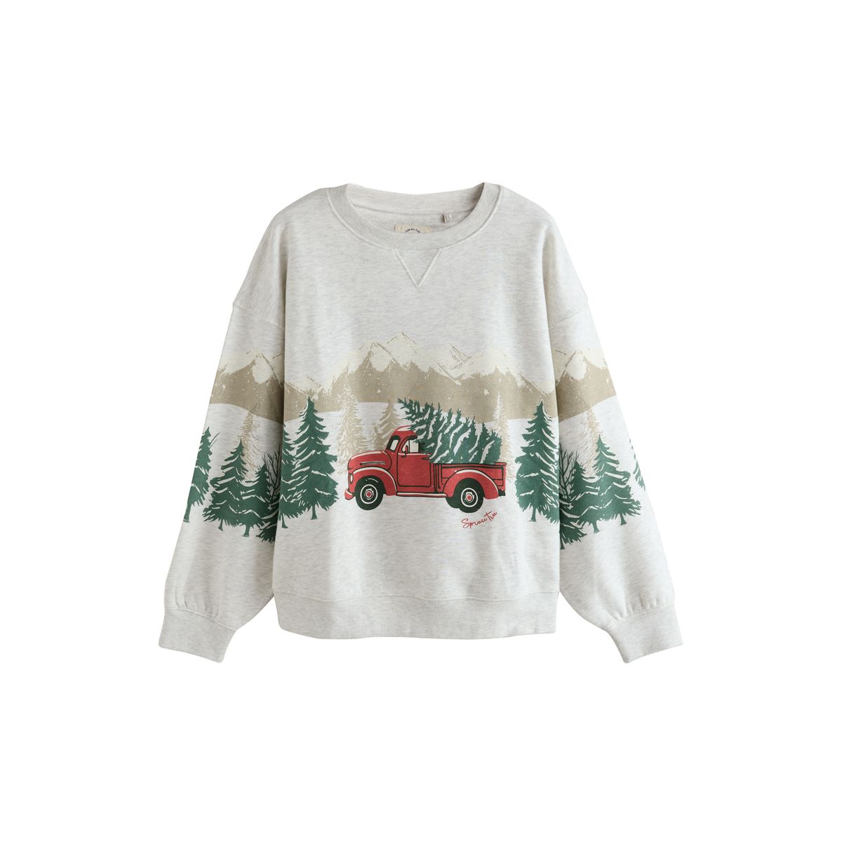 Sweat et pyjama en flanelle noël famille camion rouge, NEXT