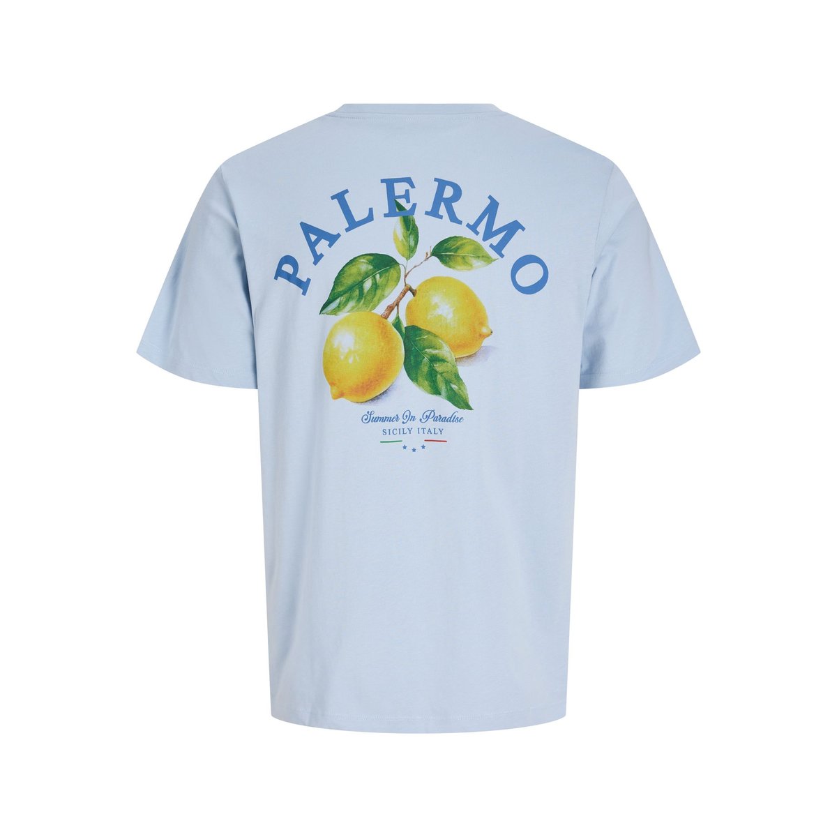 T-Shirt bleue - subdued blue 1, JACK & JONES