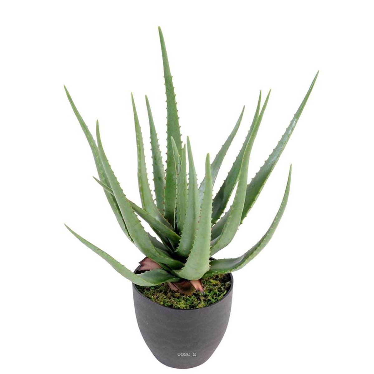 Aloé Vera artificiel H 60 cm cactus vert, ARTIFICIELLES