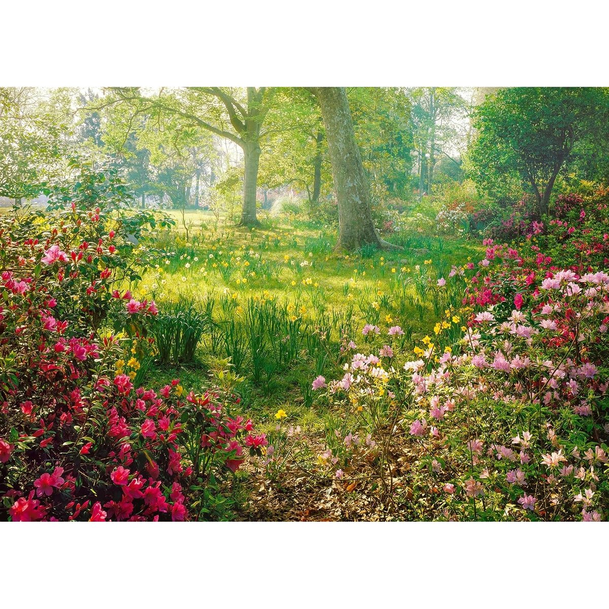 Puzzle Prairie Fleurie 1000 pièces multicolore, RAVENSBURGER
