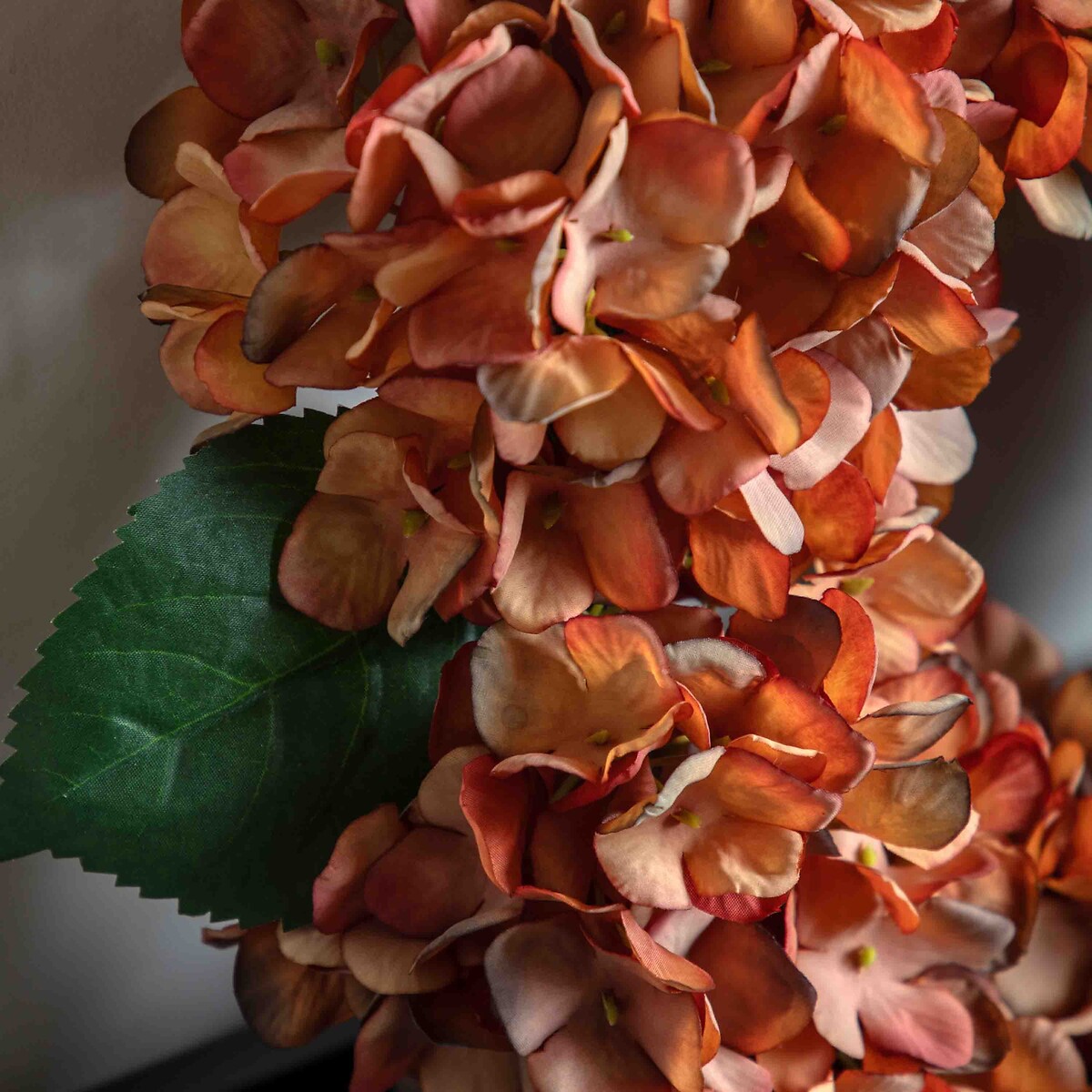 Rust Hydrangea Wreath orange, ÉDITÉ