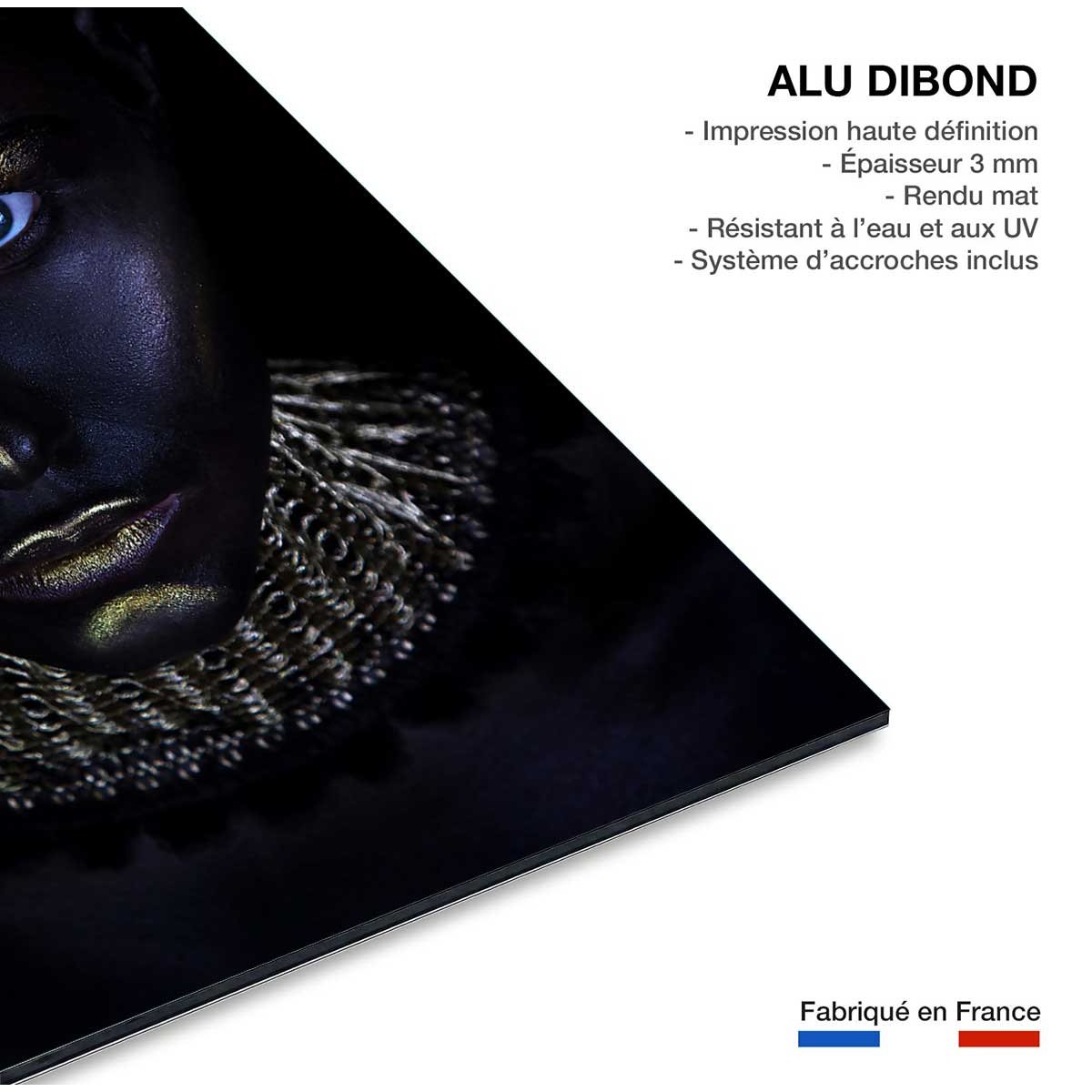 Tableau d'art gold queen tableau alu dibond, HEXOA