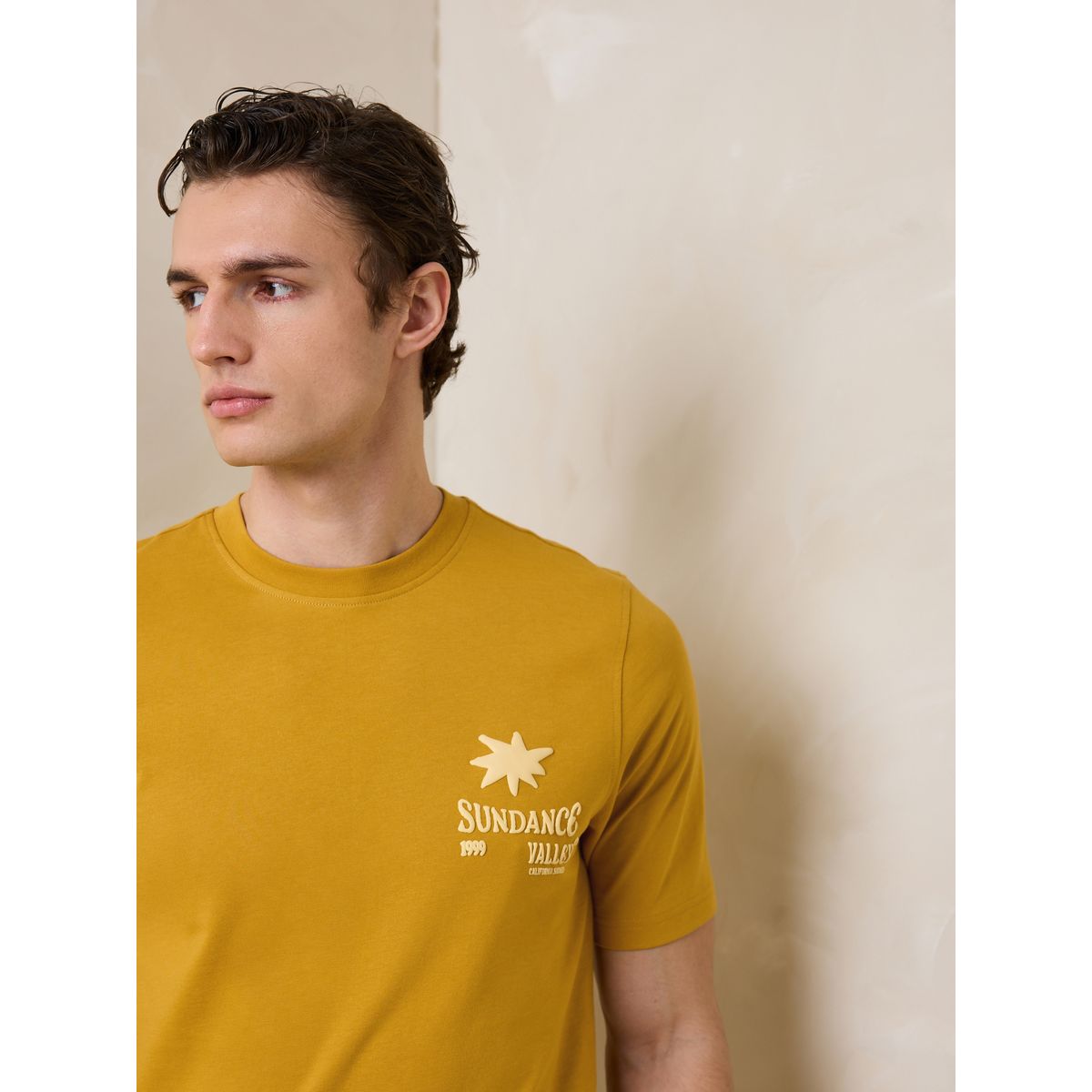 T-shirt de plage épais à imprimé vallée de la danse du soleil jaune, NEXT