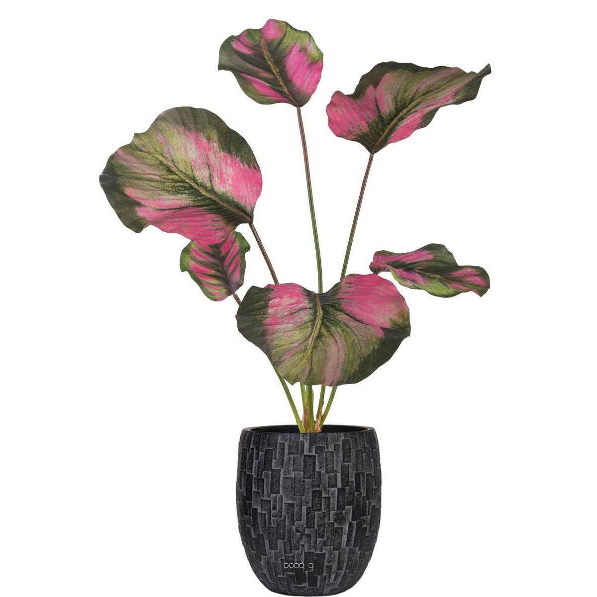 Calathea artificielle en pot, grandes feuill vert-rose, ARTIFICIELLES