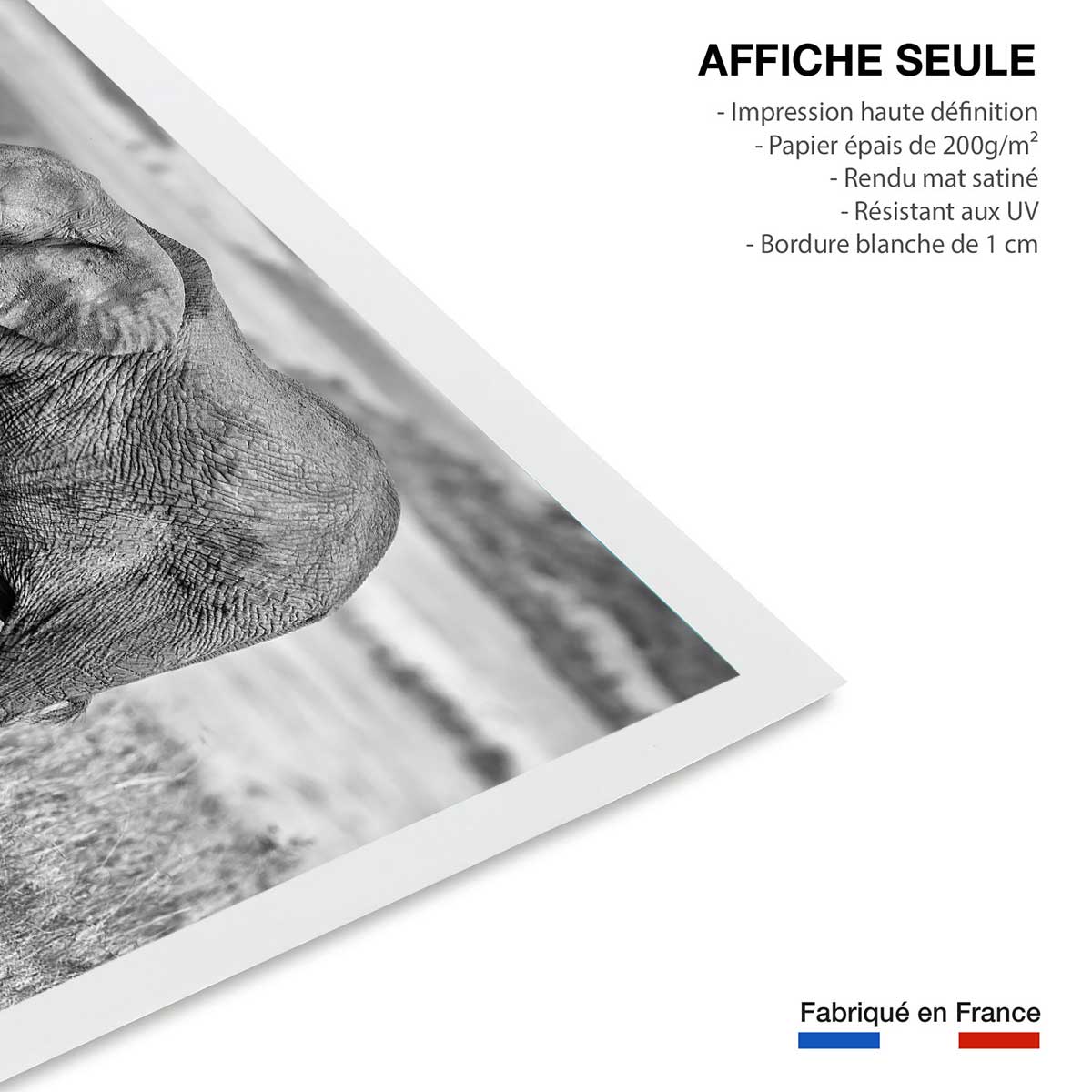 Affiche Mère éléphant affiche seule, HEXOA