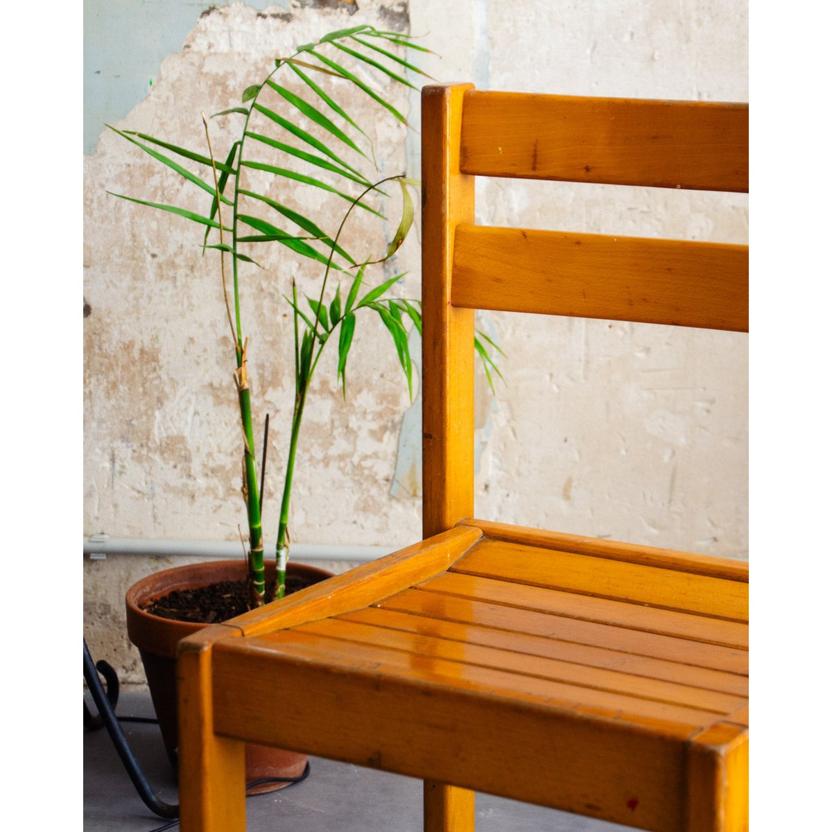 Chaise en bois clair minimaliste Alma N°1539 - Bon état bois clair, DEBONGOUT