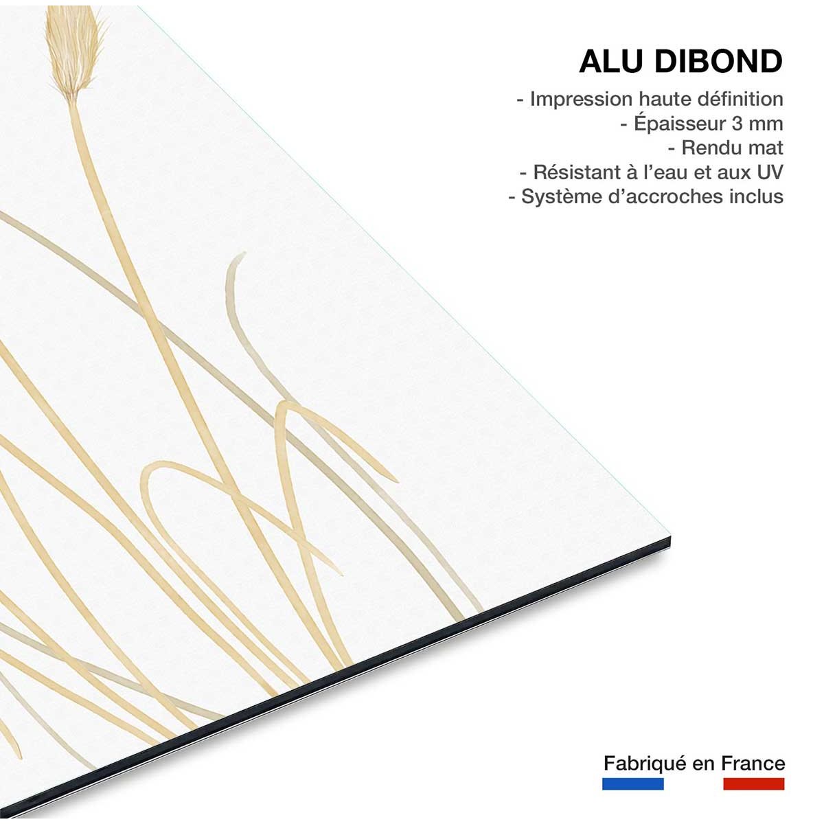 Tableau scandi blés 2 tableau alu dibond, HEXOA