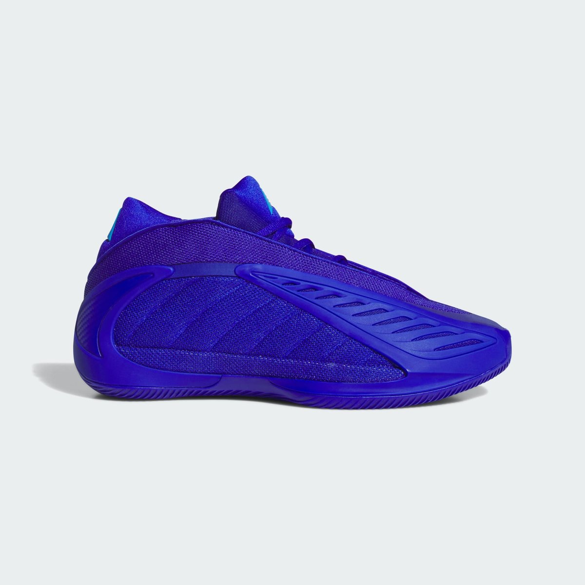 Chaussure Anthony Edwards 2 Chaussure Anthony Edwards 2 lucid blue / lucid ray blue / lucid blue, adidas Performance