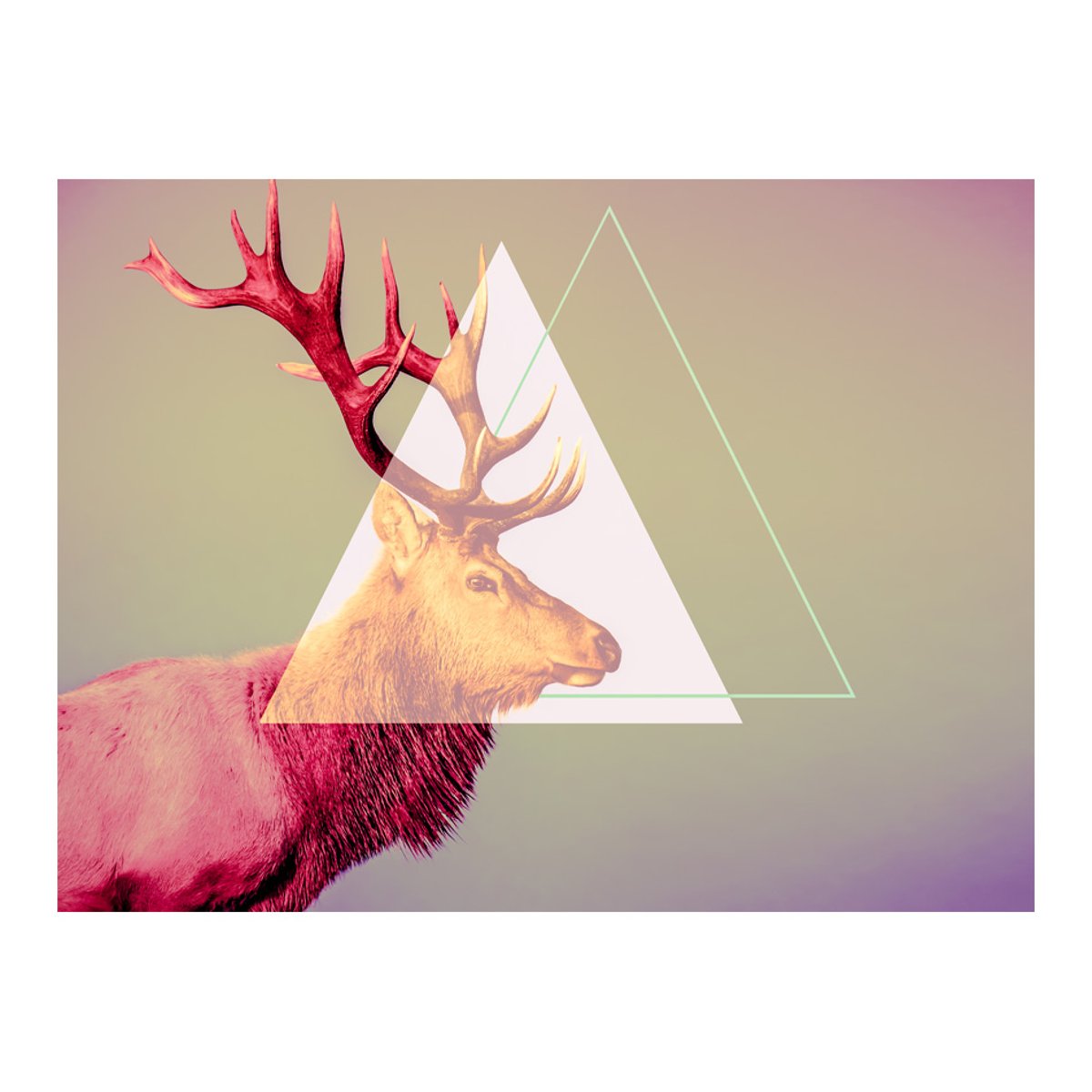 Papier peint intissé panoramique Animaux cerf (motif graphique) multicouleur, EDEN