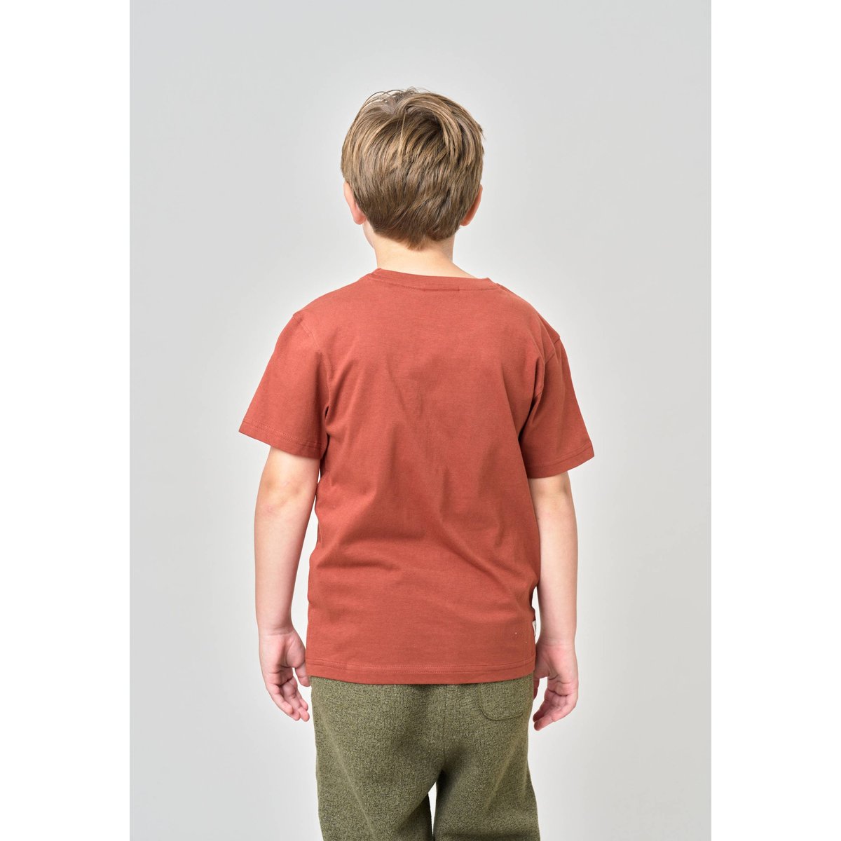 T-shirt regular garçon en 100% coton jersey imprimé ours COSYBEAR cognac, DEELUXE