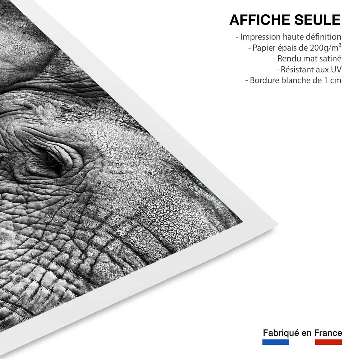 Affiche animaux Peau d'éléphant affiche seule, HEXOA