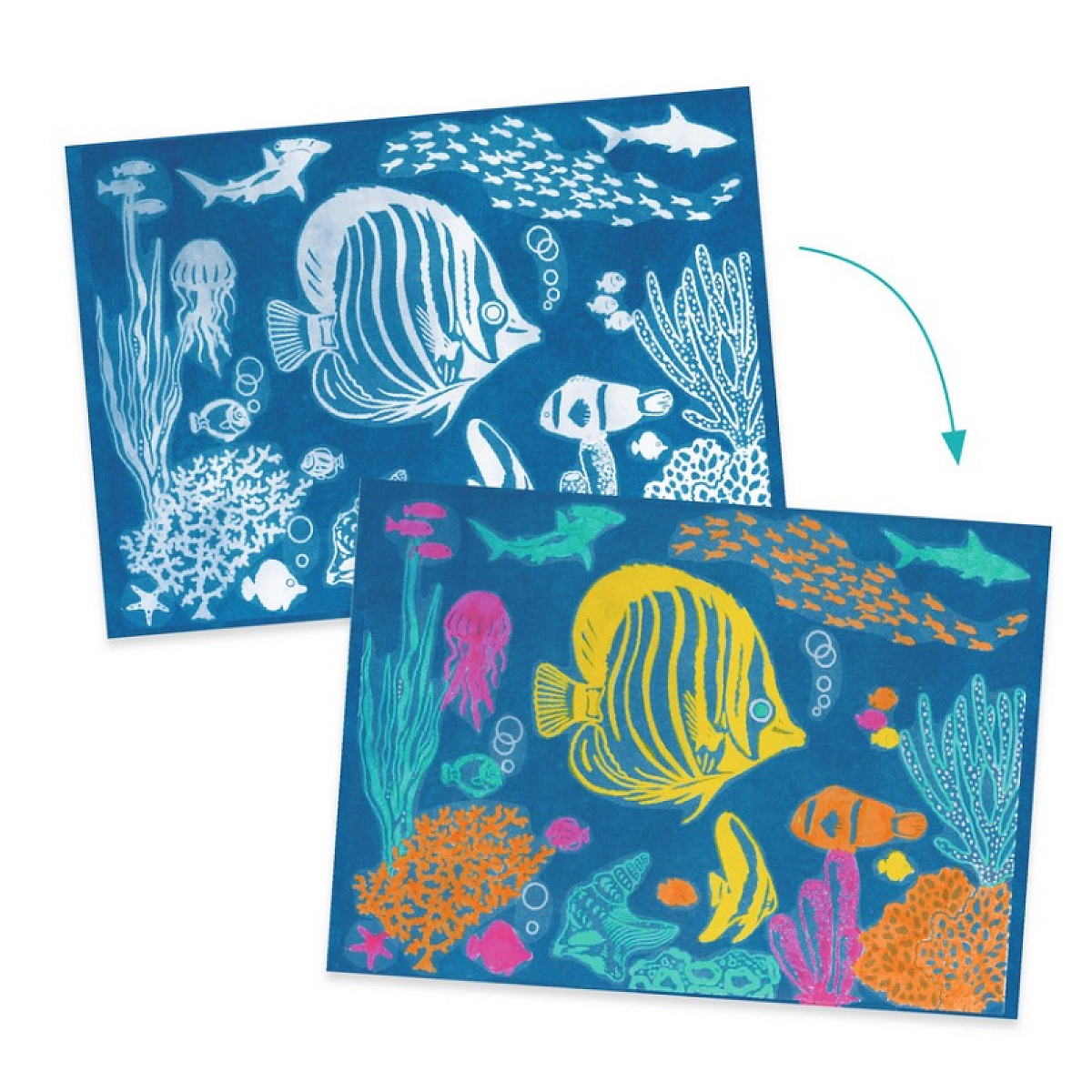 Coffret cyanotype : Outremer couleur unique, DJECO