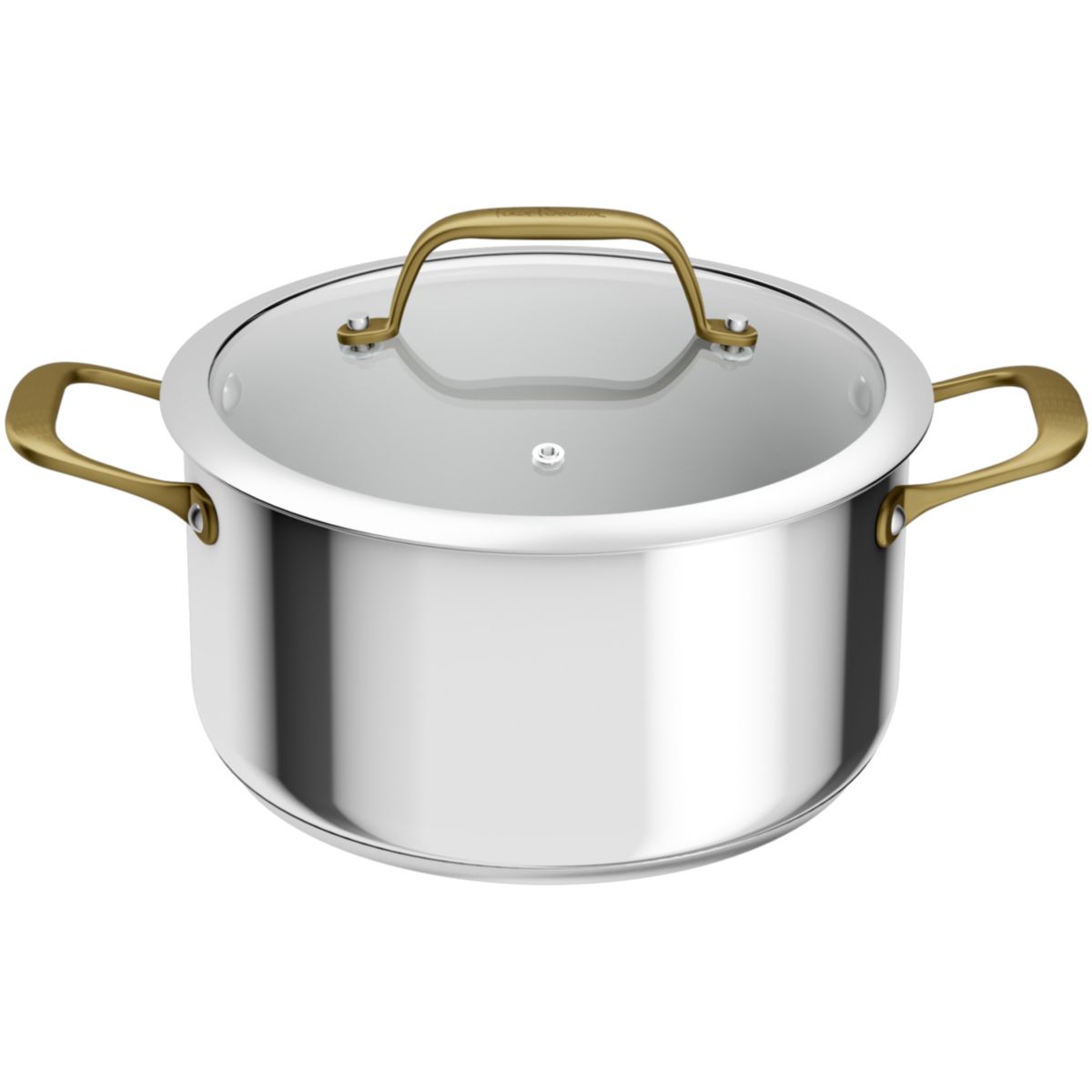 Faitout 24cm Edition Bocuse argenté, TEFAL