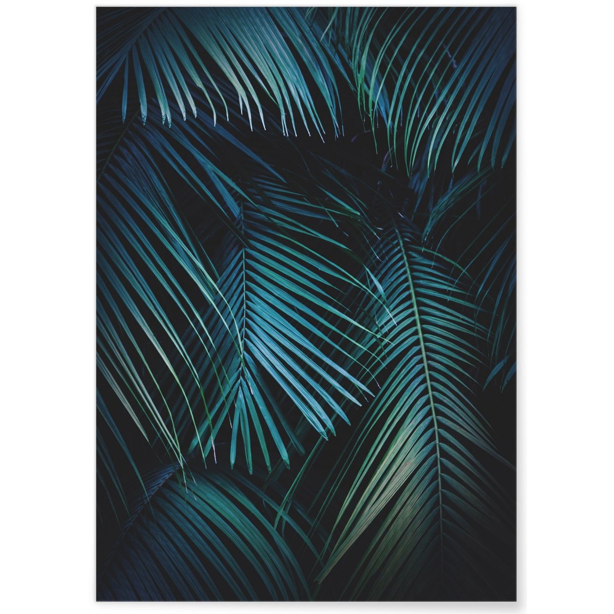 Poster Feuilles de palmier tropical verte blanc, L'AFFICHERIE