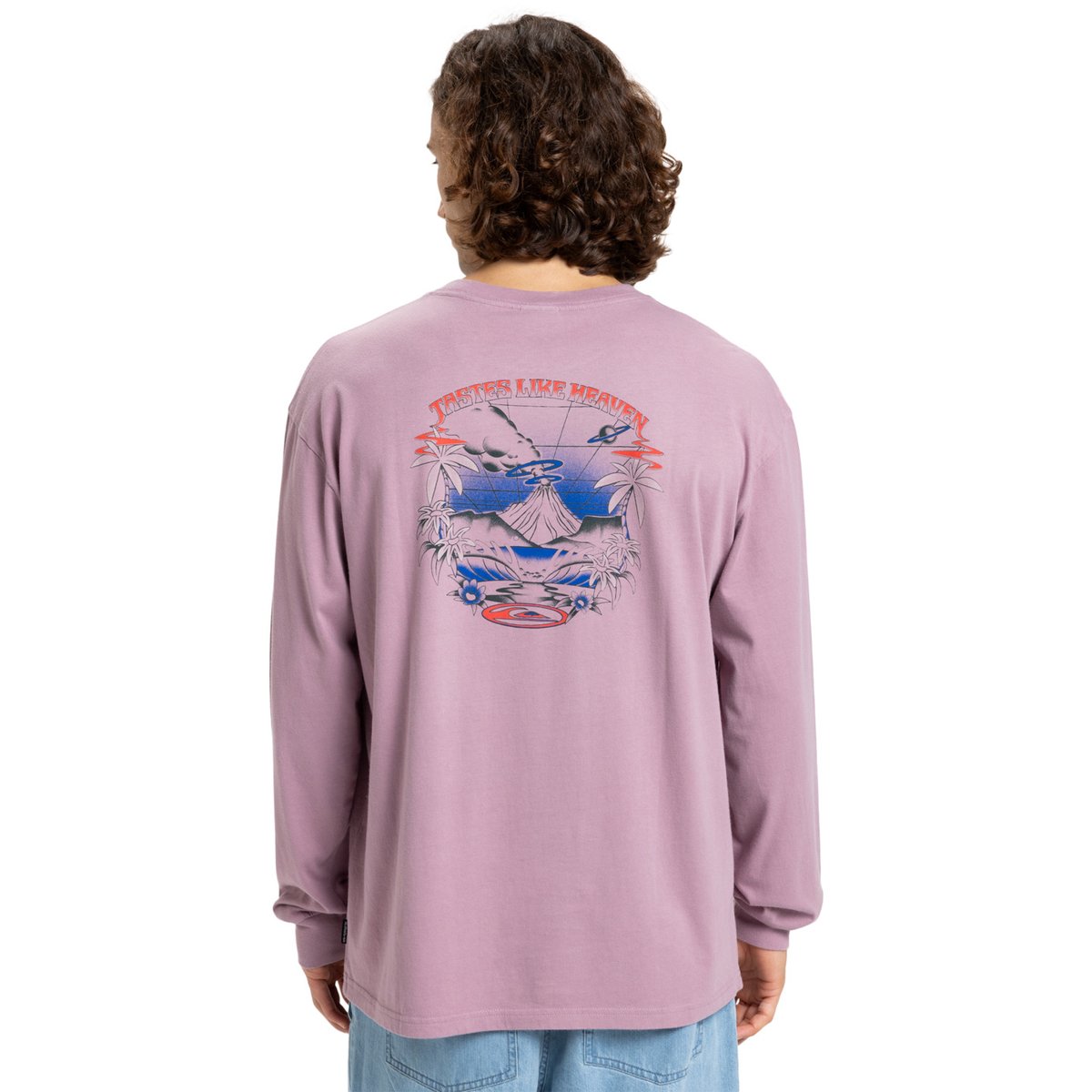 T-shirt manches longues HW HOLLOW COVES violet elderberry, QUIKSILVER
