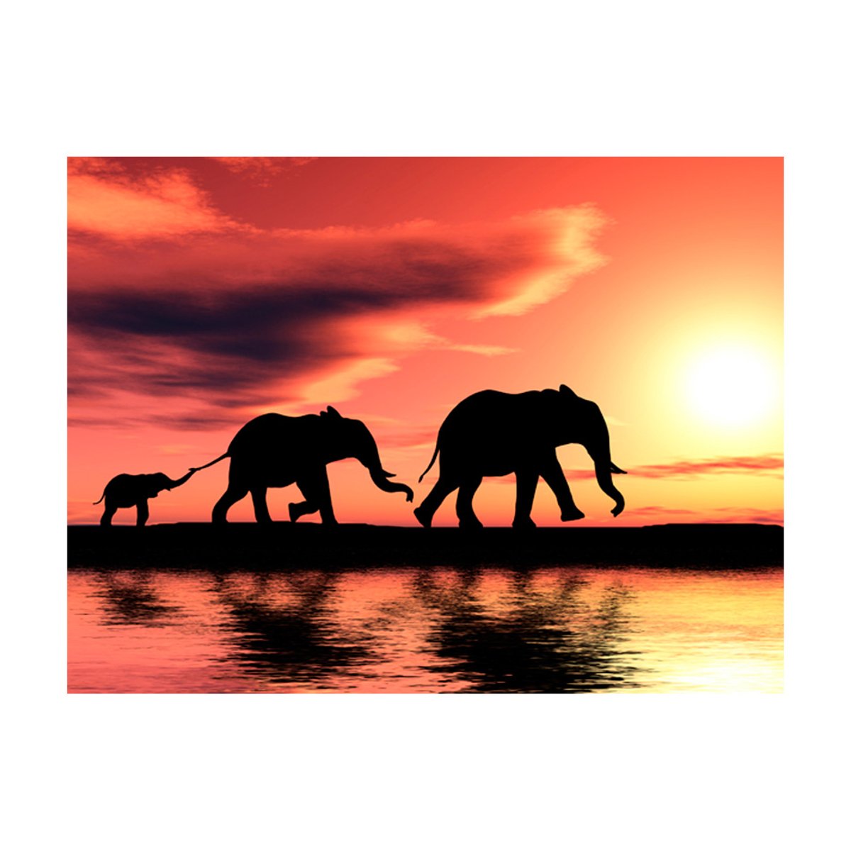 Papier peint intissé panoramique Animaux éléphants: famille noir, EDEN