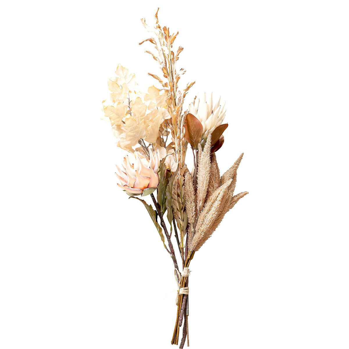 Natural Apricot Dried Flower Bunch natural, ÉDITÉ