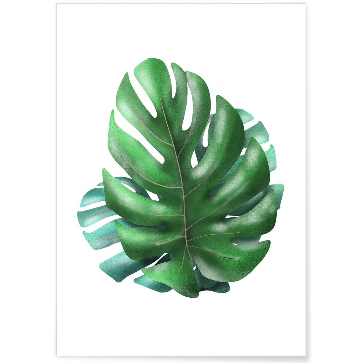 Affiche Monstera blanc, L'AFFICHERIE