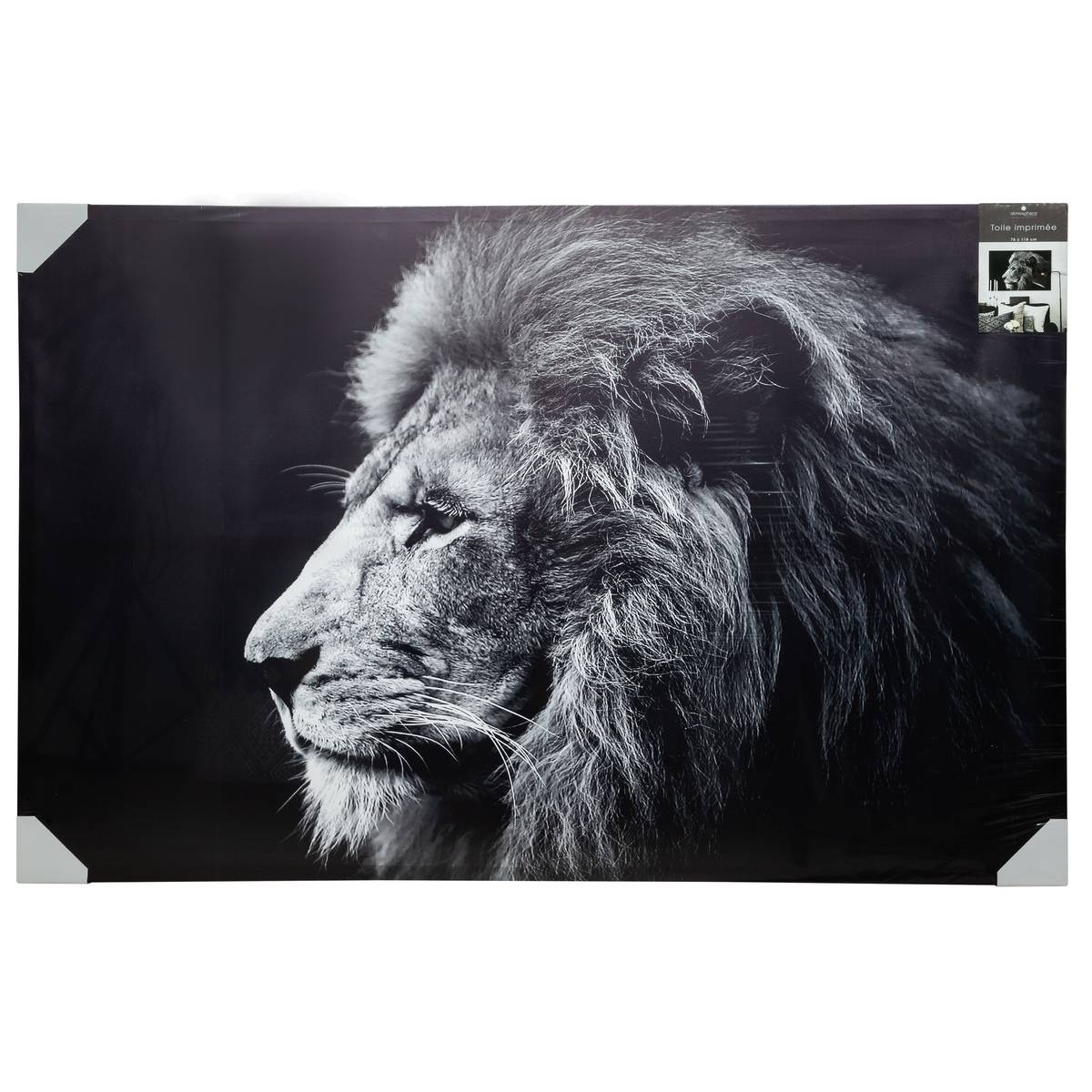 Toile imprimée portrait lion ANIMAUX noir et blanc, ATMOSPHERA