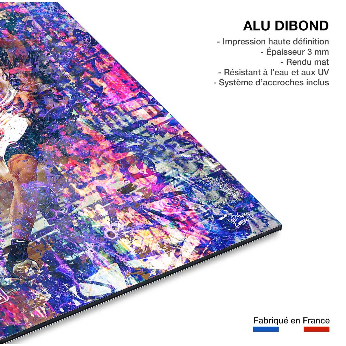 Tableau tony parker 09 tableau alu dibond, HEXOA