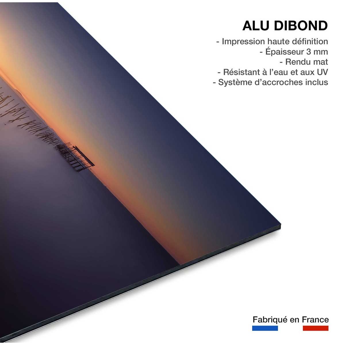Tableau lumière violette tableau alu dibond, HEXOA
