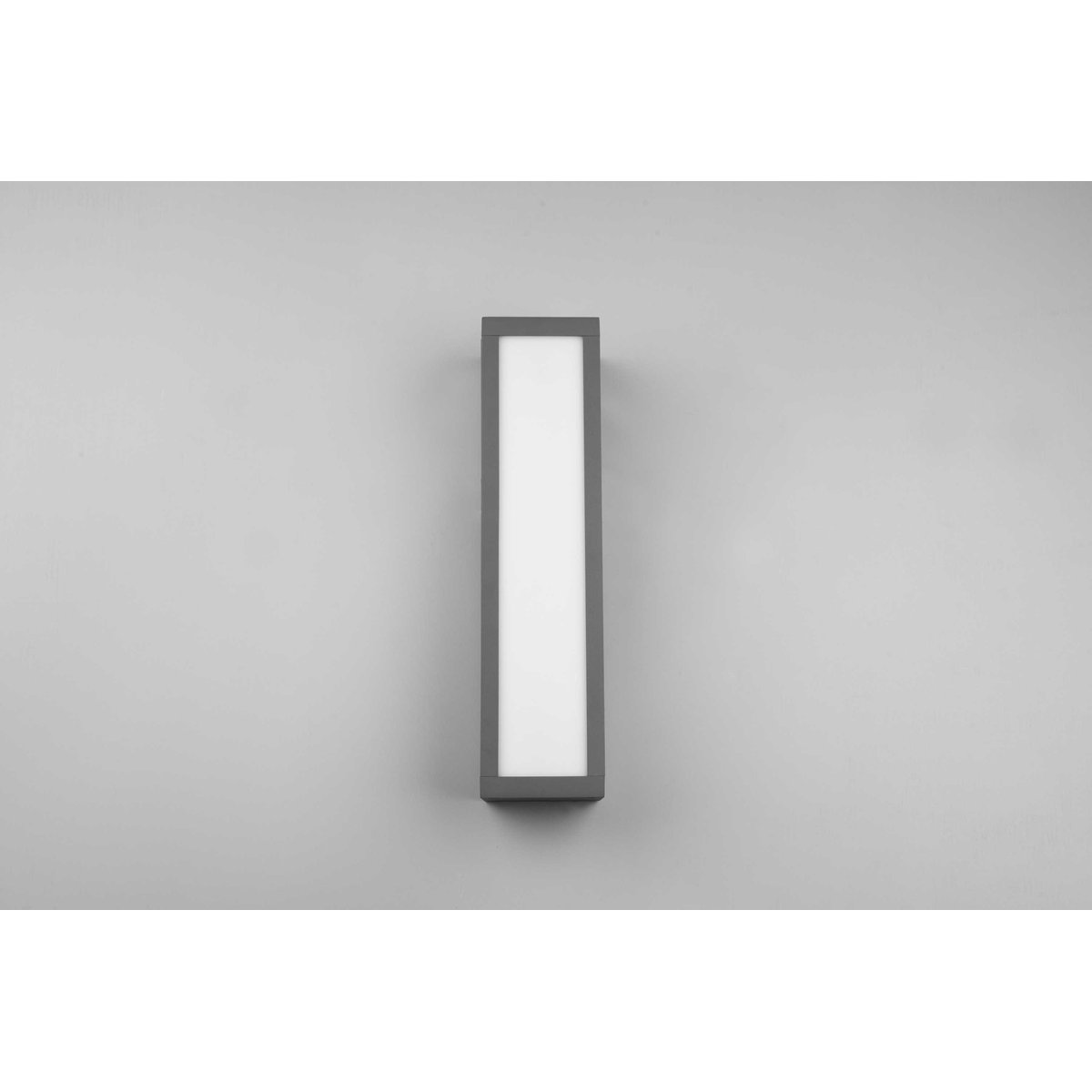 Lampe murale pour jardin Fuerte anthracite, TRIO