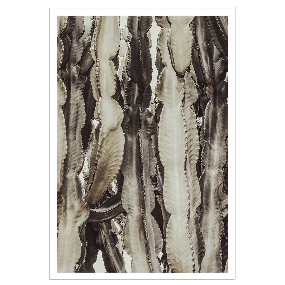 Poster cactus mood affiche seule, HEXOA