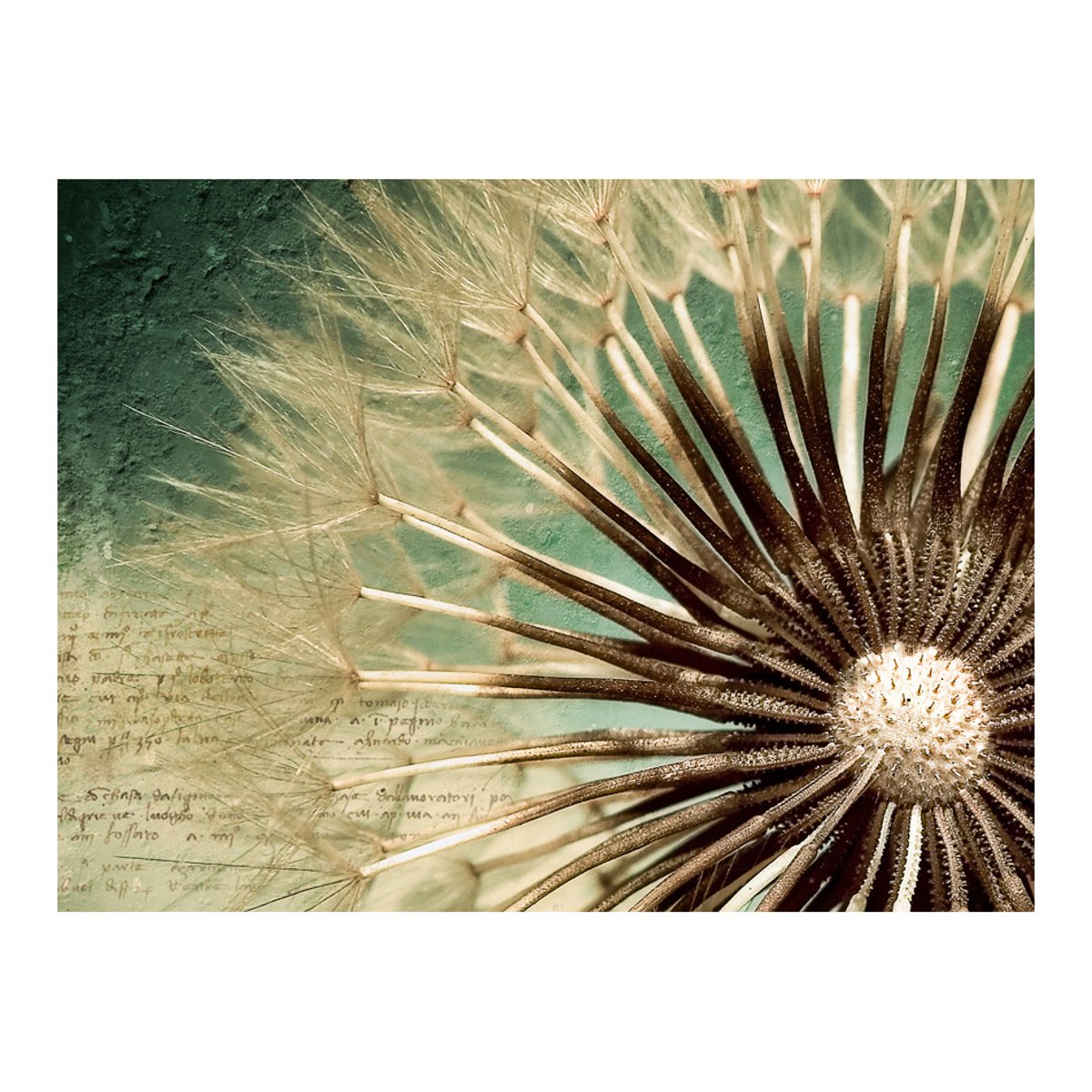 Papier peint intissé panoramique Fleurs Focus on dandelion beige, EDEN