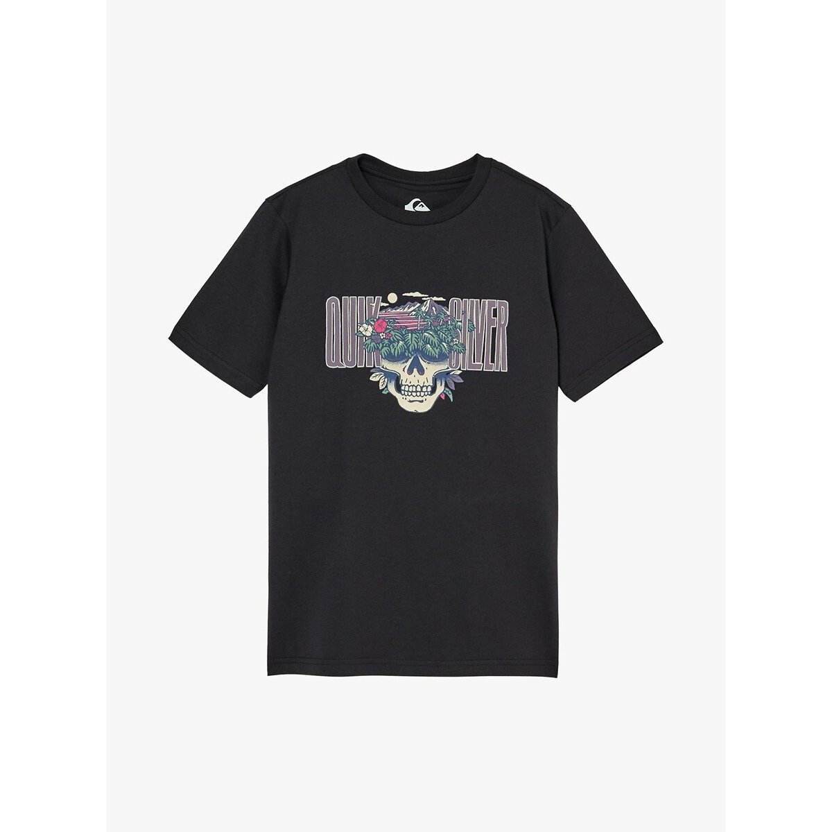 Short Sleeve T-Shirt black, QUIKSILVER
