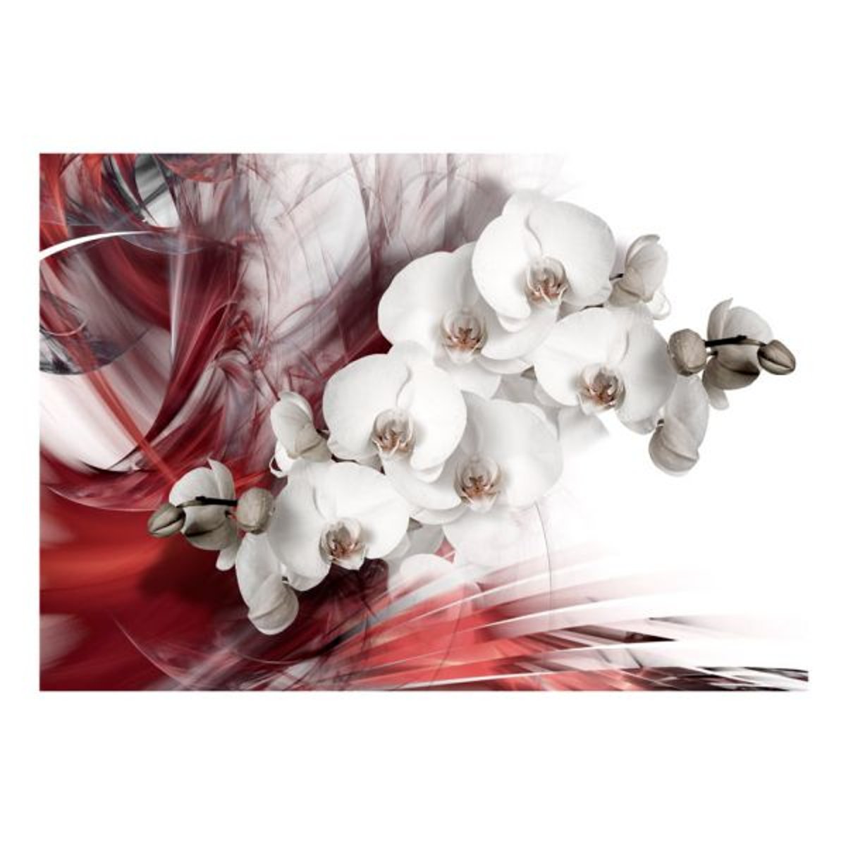 Papier peint intissé panoramique Fleurs Orchid in red rouge, EDEN