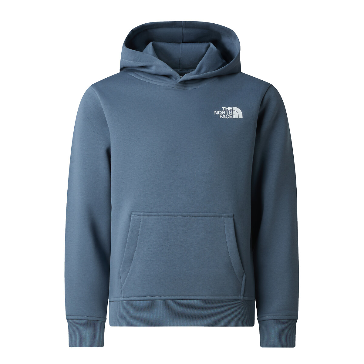 Sweat à capuche en molleton, BOX gris bleu, THE NORTH FACE