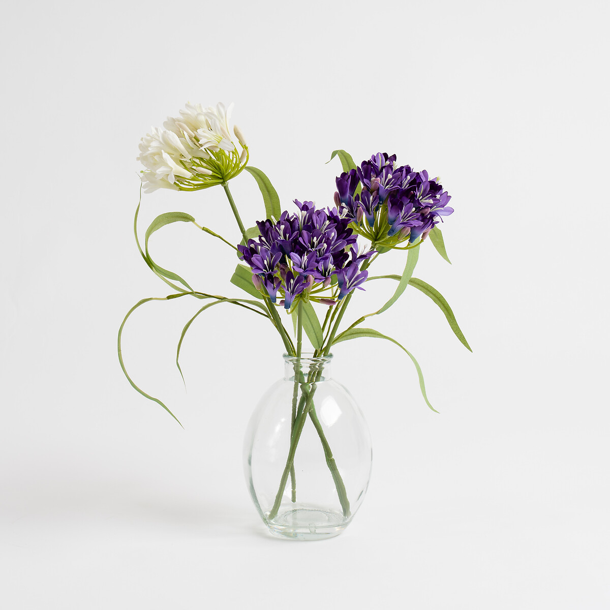 40cm Agapanthus Arrangement in Glass Vase purple, SO'HOME