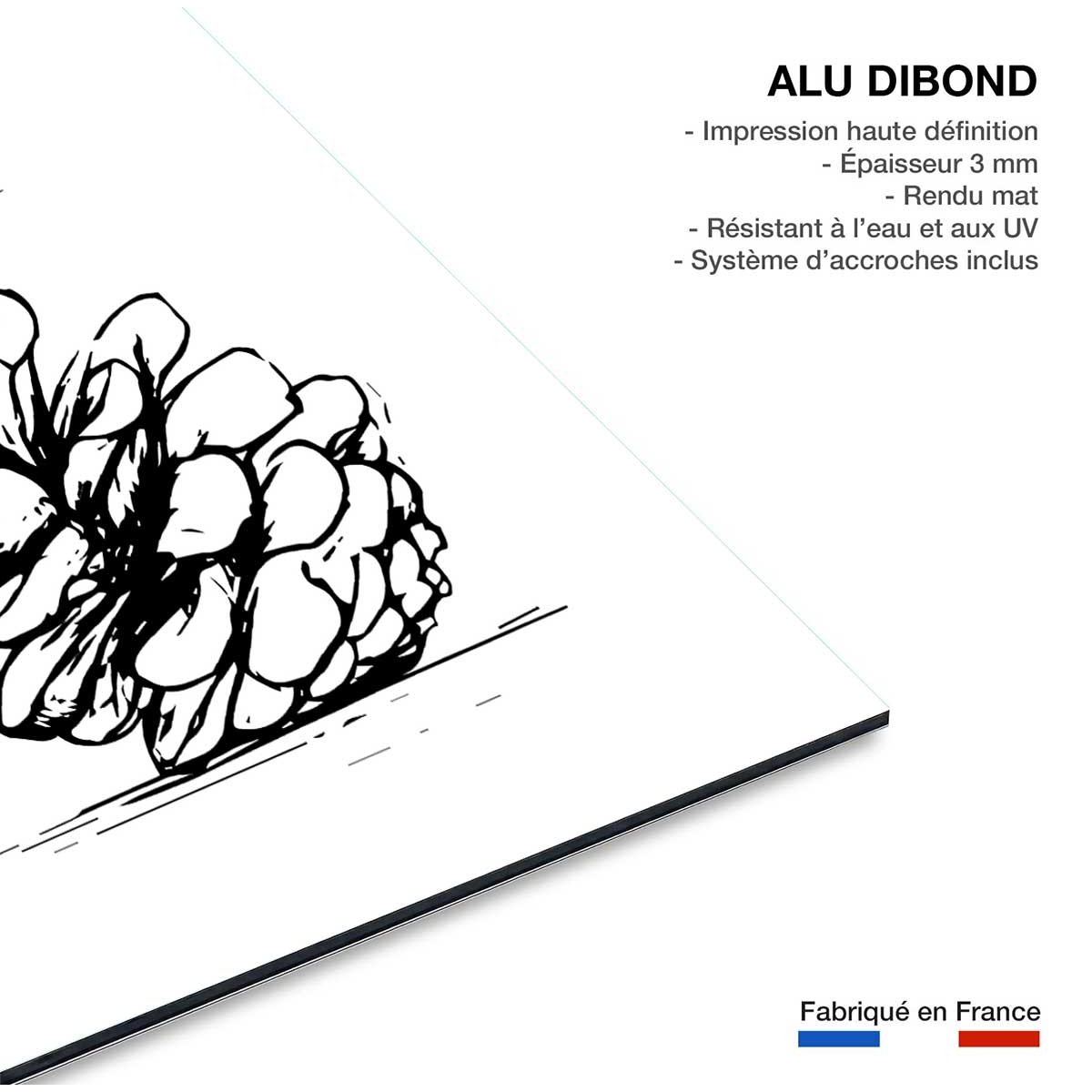 Tableau pomme de pins tableau alu dibond, HEXOA