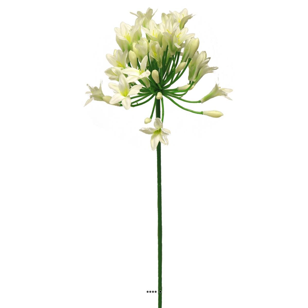 Agapanthe artificielle en tige H75cm, crème, ARTIFICIELLES