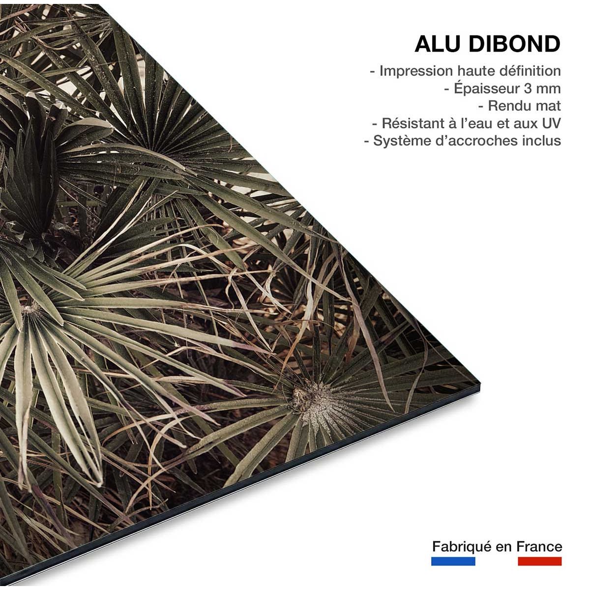 Tableau tropicana mood tableau alu dibond, HEXOA