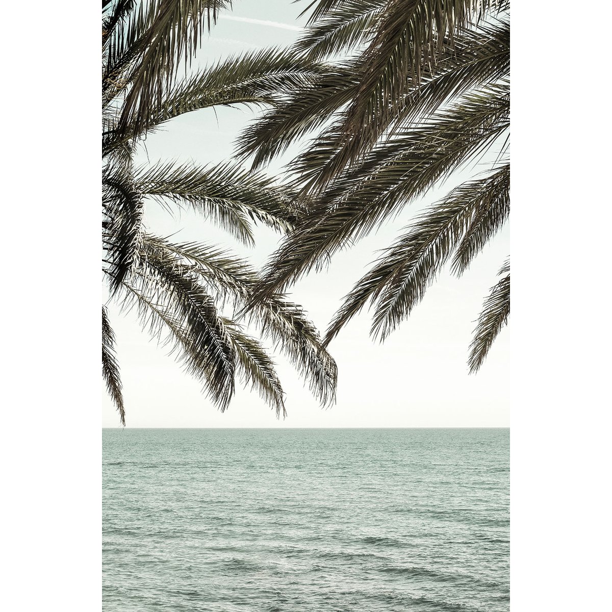 Tableau plage tropicale secrète tableau alu dibond, HEXOA