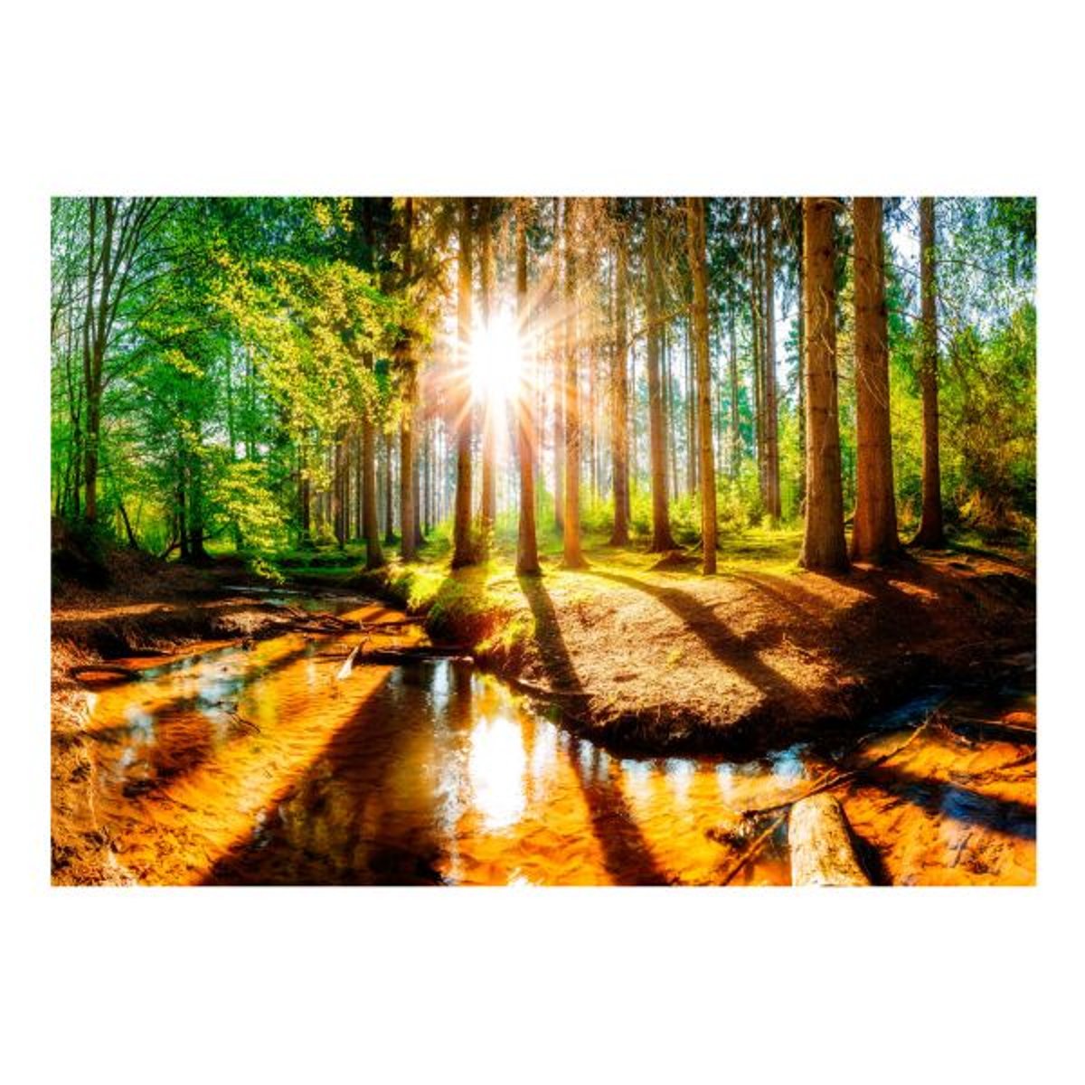 Papier peint intissé panoramique Paysage Marvelous Forest vert, EDEN