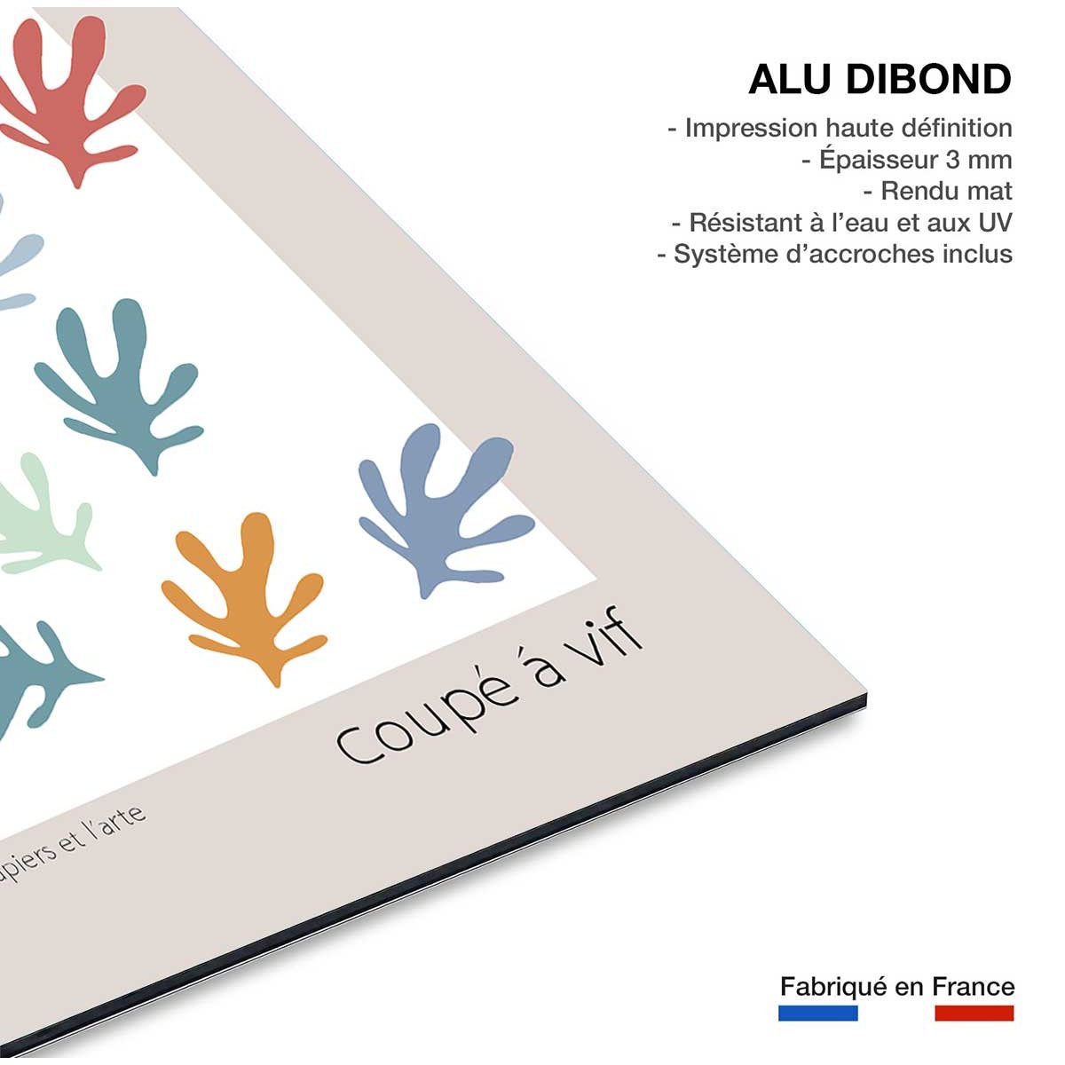 Tableau papiers et l'arte tableau alu dibond, HEXOA