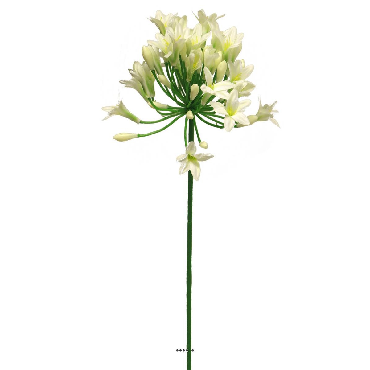 Agapanthe artificielle en tige H75cm, crème, ARTIFICIELLES