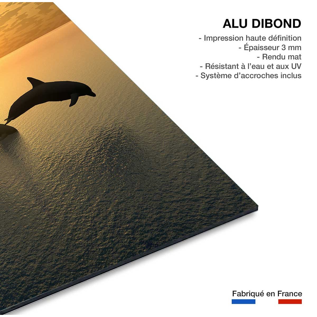 Tableau décoratif dauphins tableau alu dibond, HEXOA