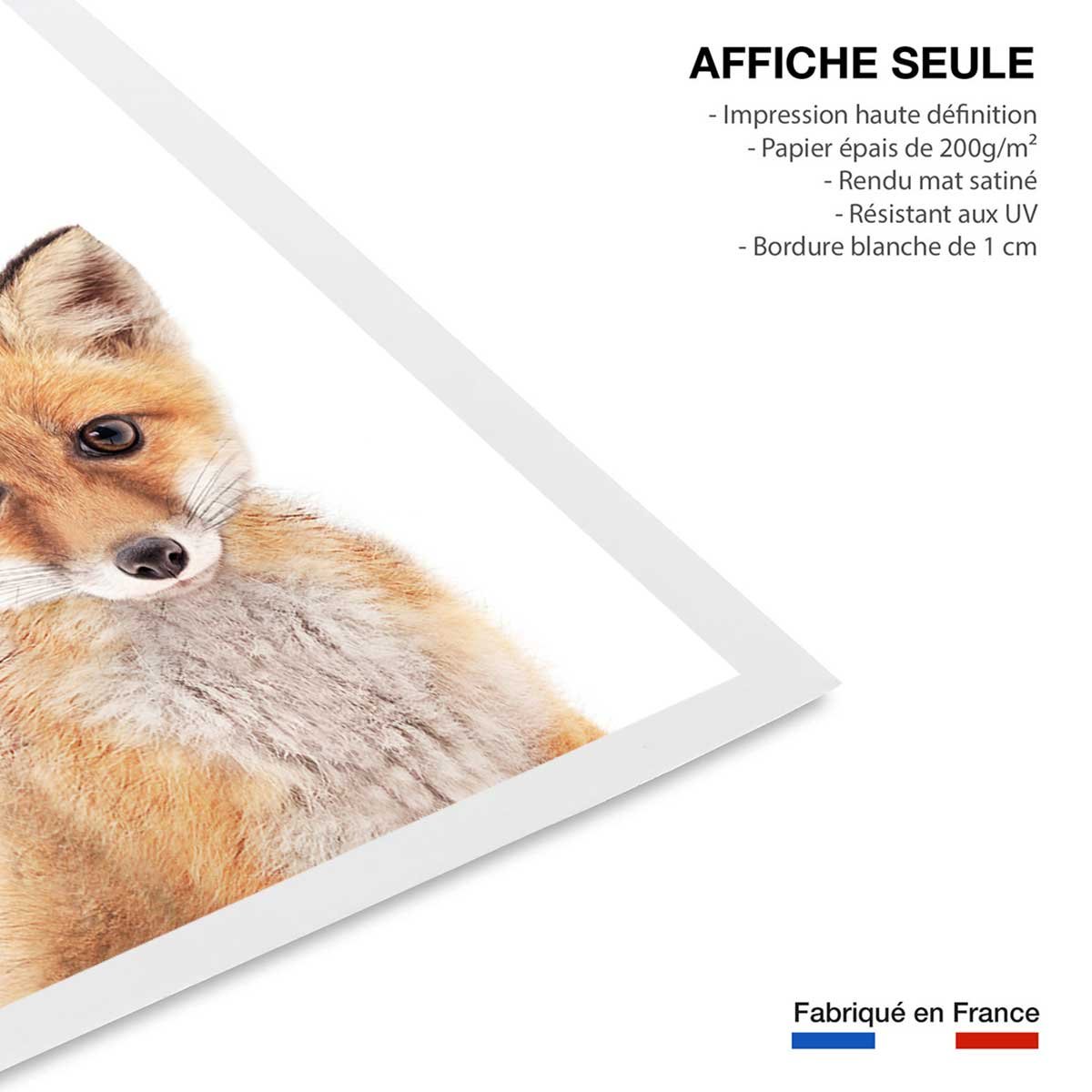 Affiche enfant bébé fox affiche seule, HEXOA