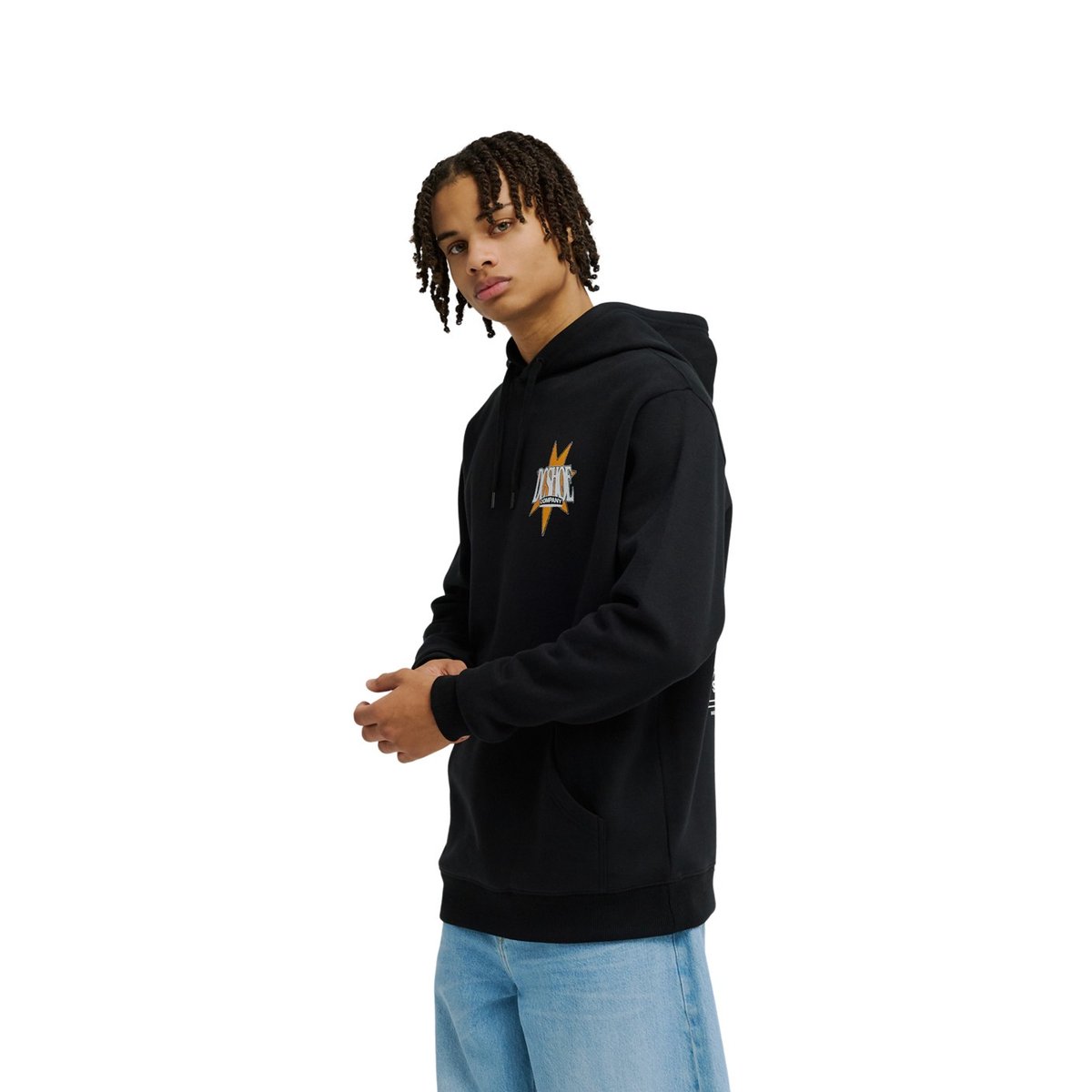 Sweat capuche. noir black, DC SHOES