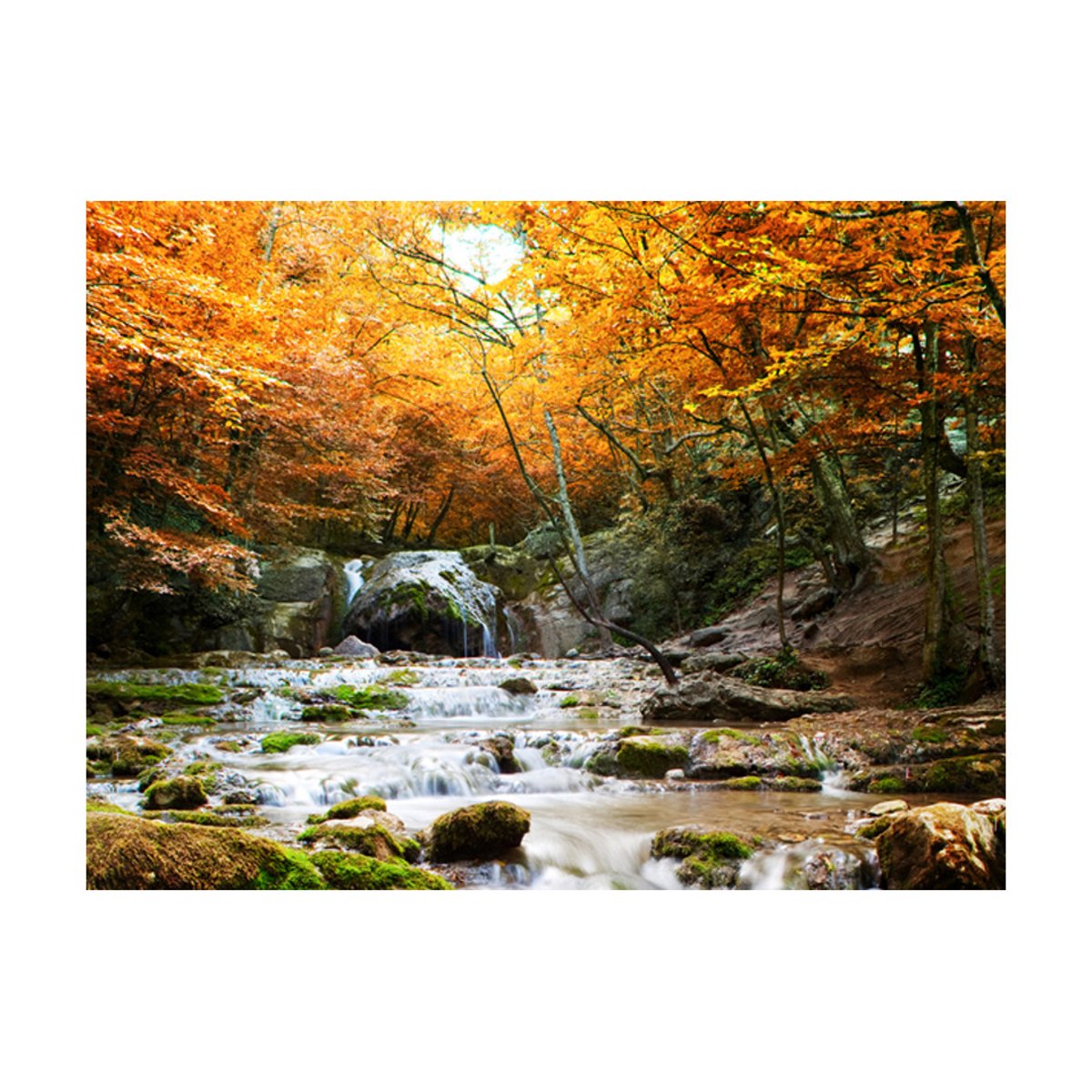 Papier peint intissé panoramique Paysage automne - chute d'eau jaune / doré, EDEN