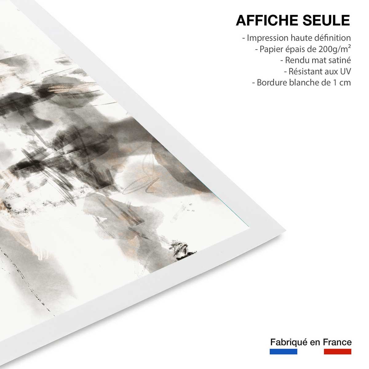 Affiche Chaos sauvage affiche seule, HEXOA