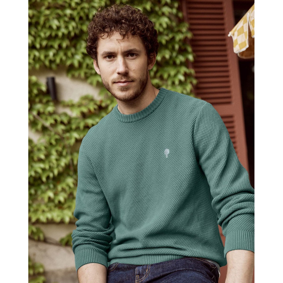 Pull broderie arbre OPALE vert d'eau, FAGUO