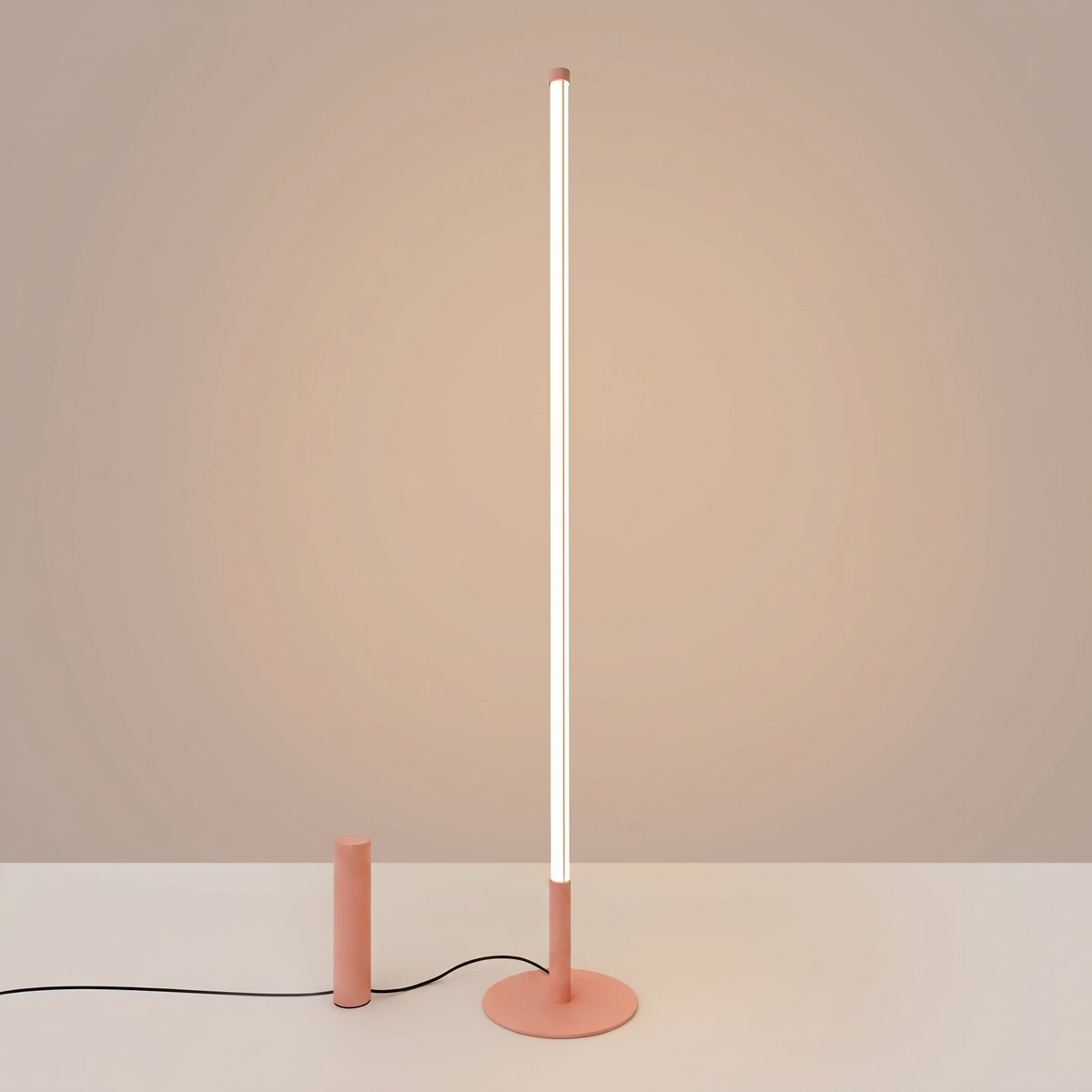 Lampadaire Pêche LED 1 Trang pêche, EDEN